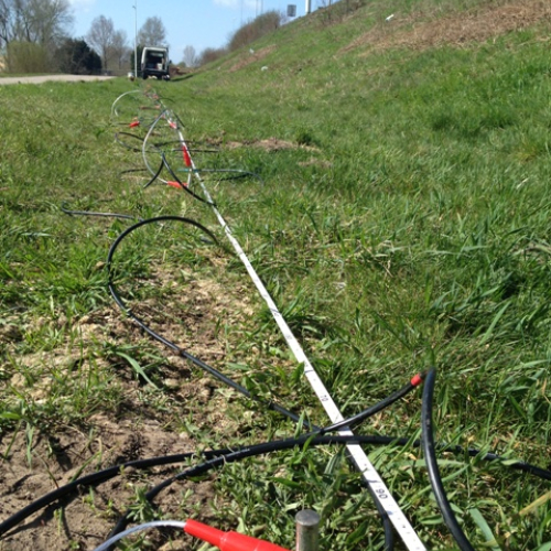 Flank_ERT_05 - 640x480.JPG