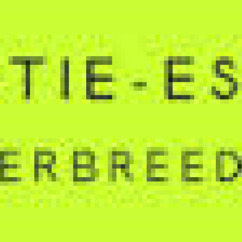 innovatie estafette.png