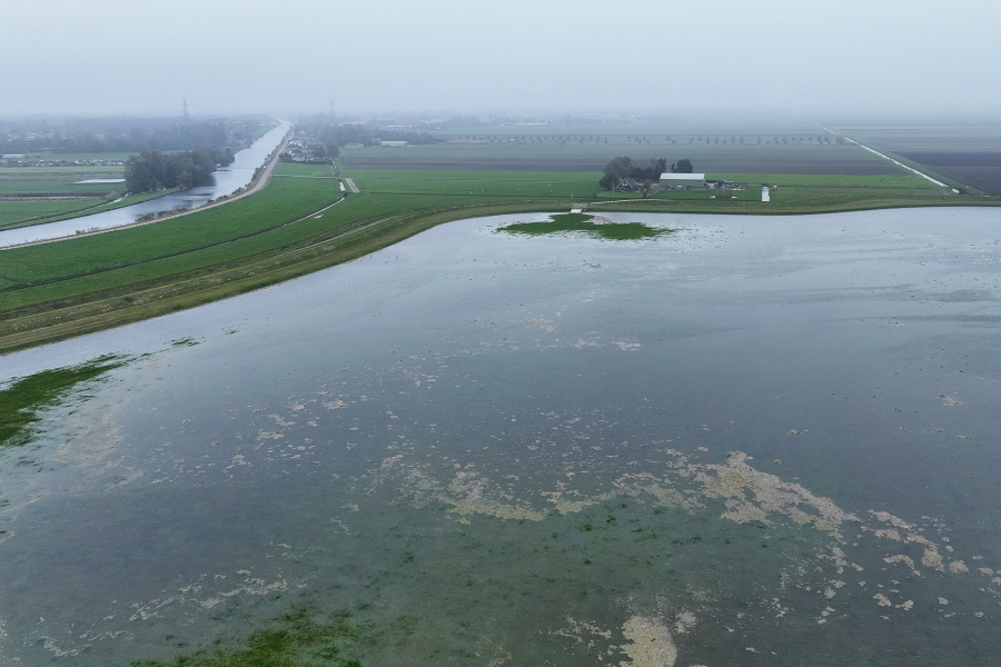 Piekberging Haarlemmermeer