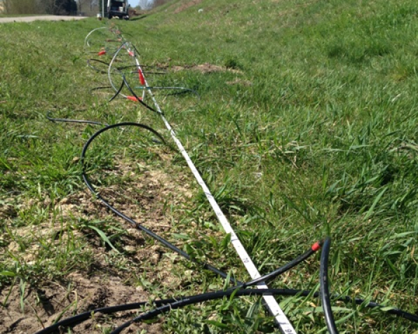 Flank_ERT_05 - 640x480.JPG