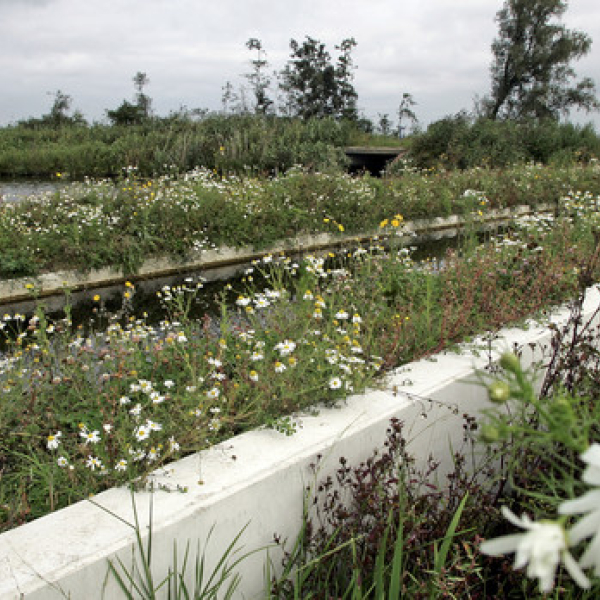 Eco aquaduct Olde Maten  Meppeler Courant.jpg
